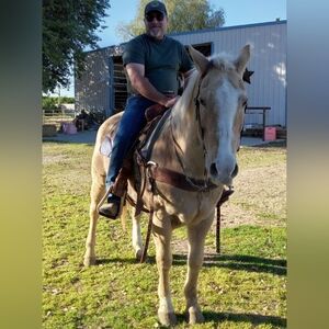 Last chance to grab deals from my closet before I liquidate my items at the flea